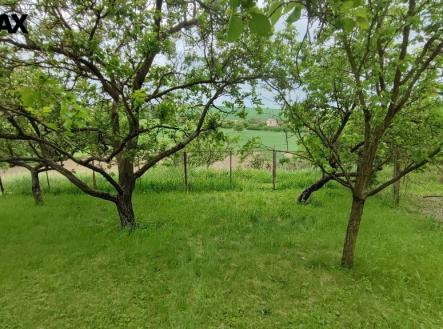 Prodej pozemku, zahrada, 1 279 m²