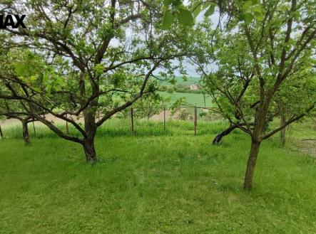 Prodej pozemku, zahrada, 1 279 m²