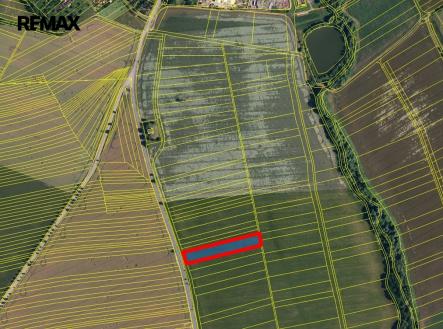 Prodej pozemku, zemědělská půda, 5 795 m²