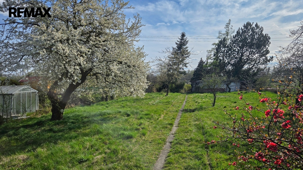 Pohled do zahrady od přístupové cesty