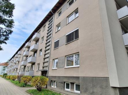 Prodej bytu, 3+1, 890 m²