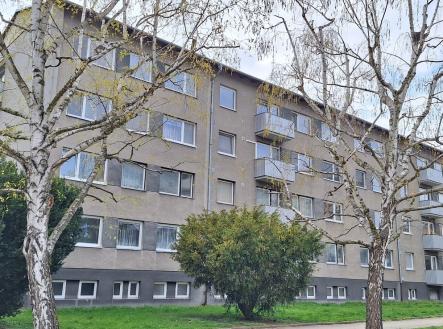 Prodej bytu, 3+1, 890 m²