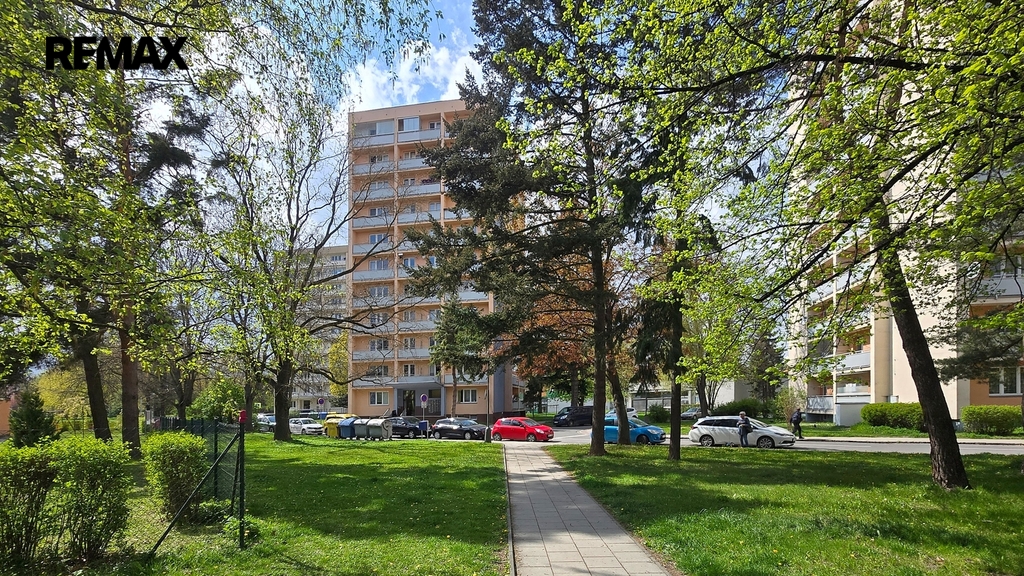 20260424-141901.jpg