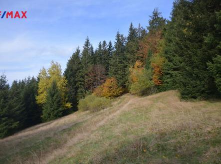 Prodej - pozemek, trvalý travní porost, 30 538 m² obrázek