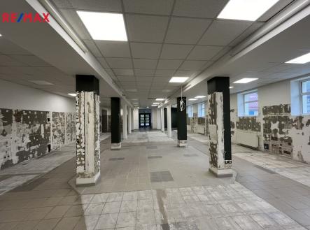 Pronájem skladovací prostor, 555 m²