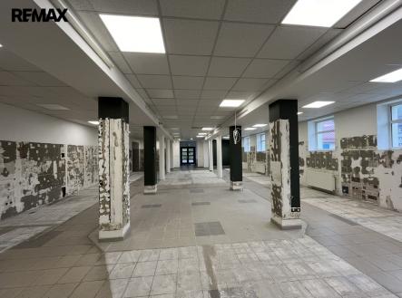 Pronájem skladovací prostor, 555 m²