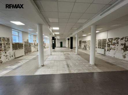 Pronájem skladovací prostor, 555 m²