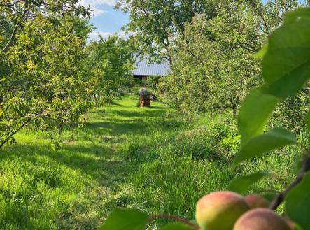 Prodej pozemku pro bydlení, 1 100 m²