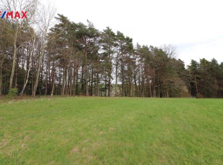 Prodej pozemku, trvalý travní porost, 3 158 m²