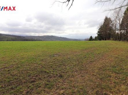 Prodej pozemku, trvalý travní porost, 3 158 m²