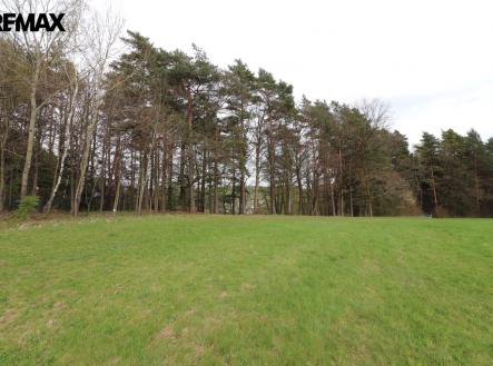 Prodej pozemku, trvalý travní porost, 3 158 m²