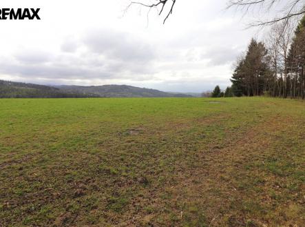 Prodej pozemku, trvalý travní porost, 3 158 m²