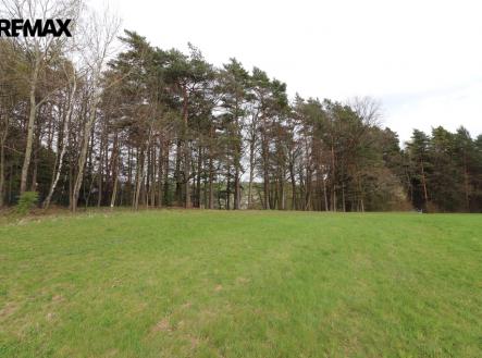 Prodej pozemku, trvalý travní porost, 3 158 m²