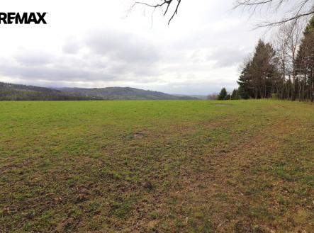 Prodej pozemku, trvalý travní porost, 3 158 m²