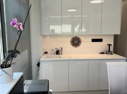 Pronájem obchodní prostor, 398 m²