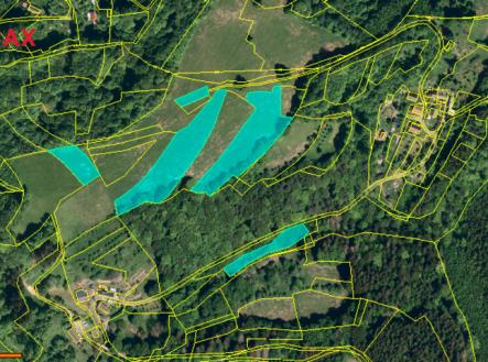 Prodej pozemku, trvalý travní porost, 23 456 m²