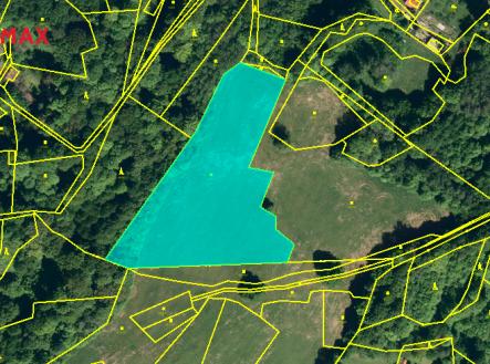 Prodej pozemku, trvalý travní porost, 23 456 m²