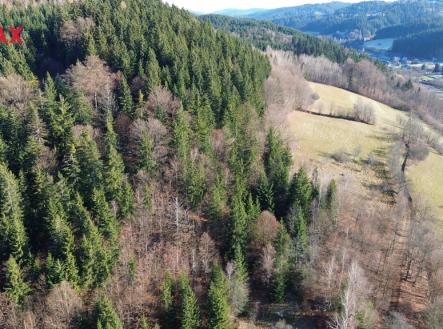 Prodej pozemku, les, 132 m²