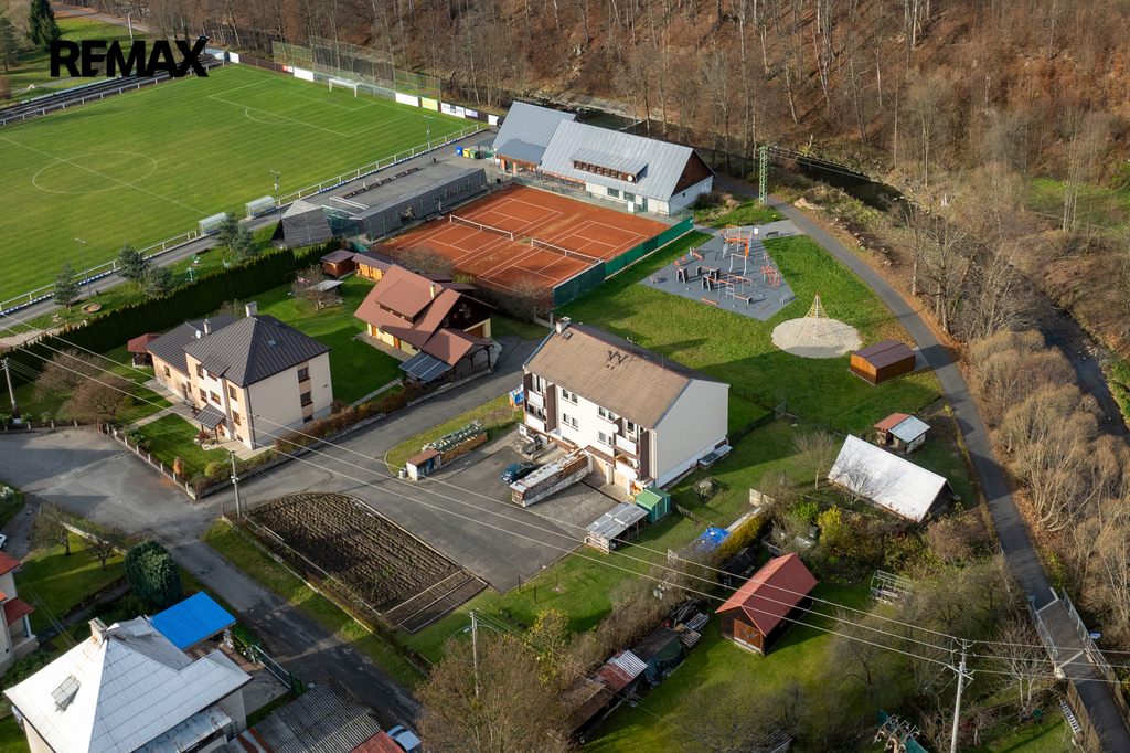 lesni-5.jpg