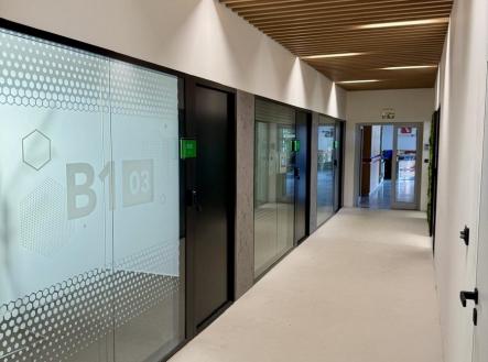 Pronájem kanceláře, 20 m²