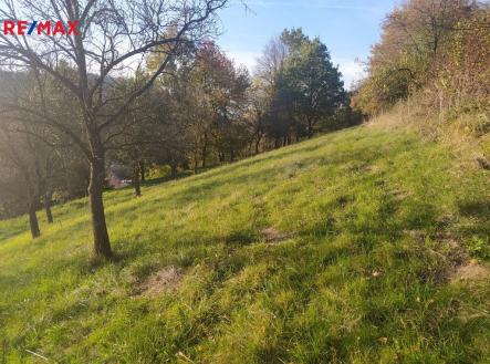 Prodej pozemku pro bydlení, 2 994 m²