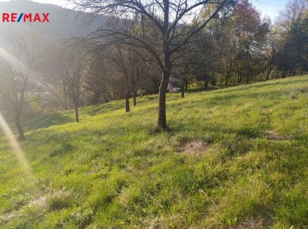 Prodej pozemku pro bydlení, 2 994 m²