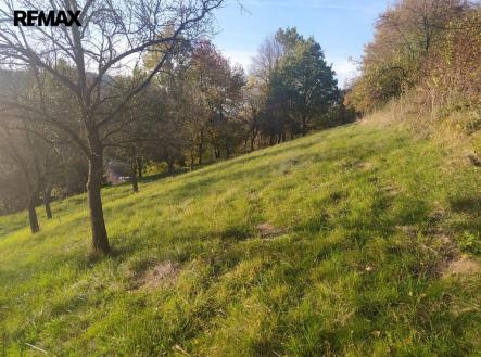 Prodej pozemku pro bydlení, 2 994 m²