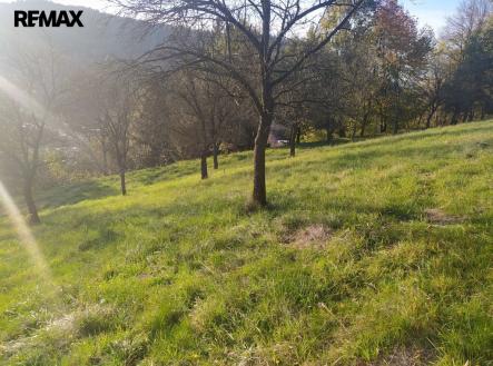 Prodej pozemku pro bydlení, 2 994 m²