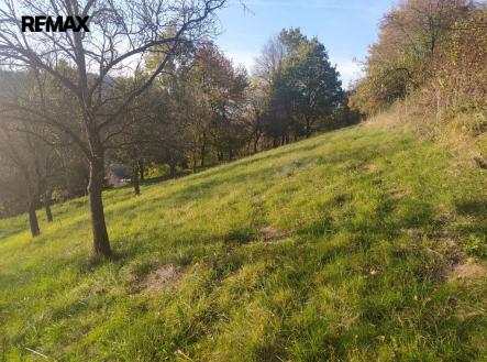 Prodej pozemku pro bydlení, 2 994 m²