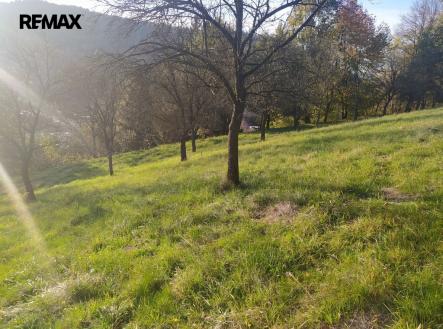 Prodej pozemku pro bydlení, 2 994 m²