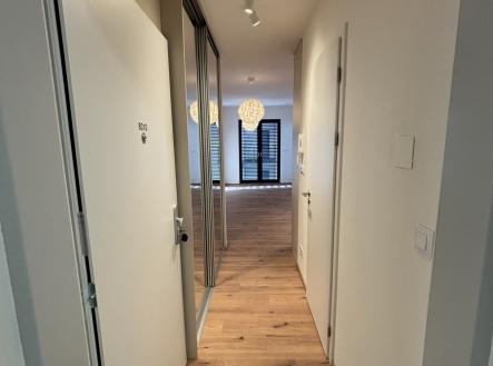 Pronájem bytu, 1+kk, 49 m²
