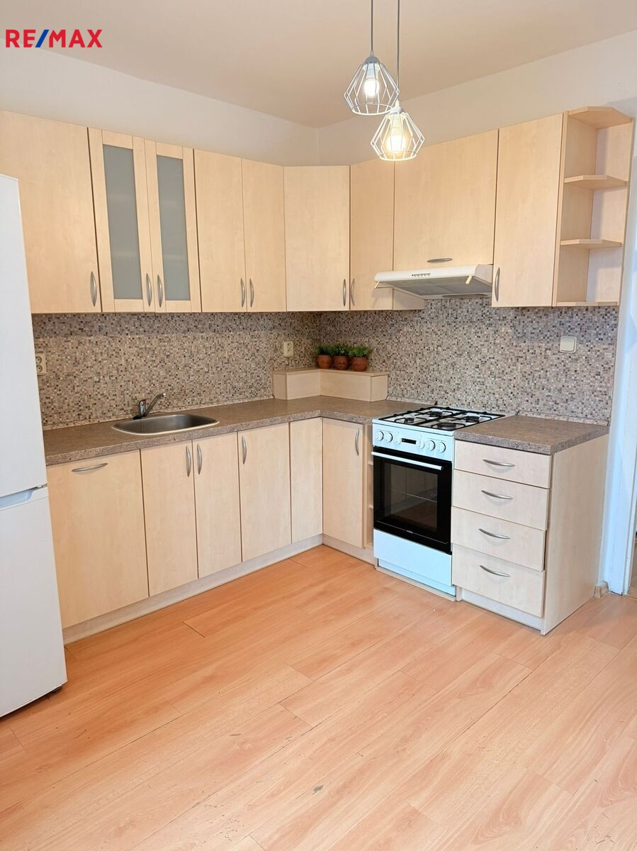 +420 604 191 744 I denisa.myslivcova@re-max.cz