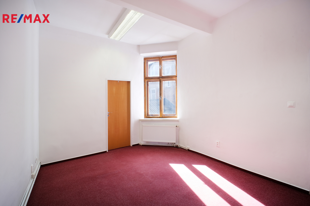 +420 604 191 744 I denisa.myslivcova@re-max.cz