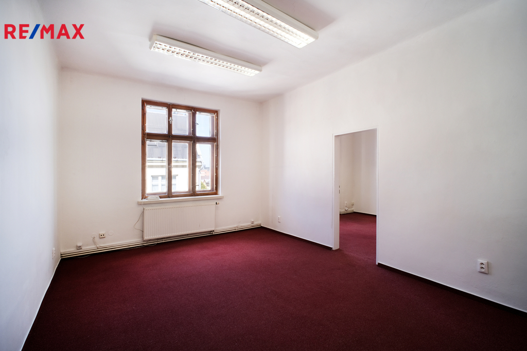 +420 604 191 744 I denisa.myslivcova@re-max.cz