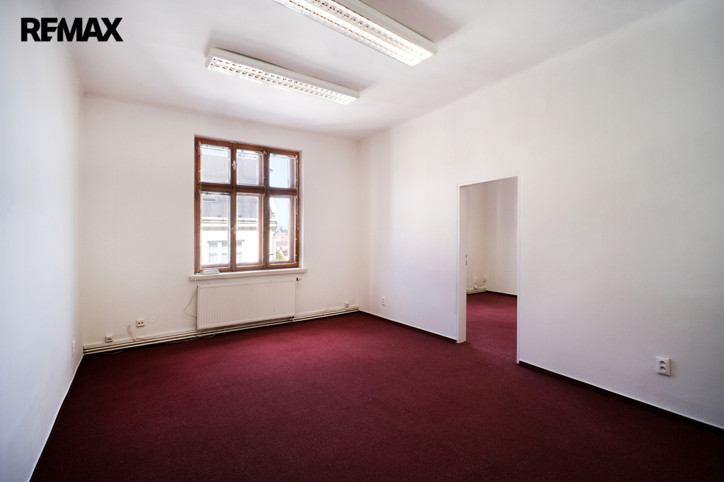 +420 604 191 744 I denisa.myslivcova@re-max.cz