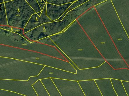 Prodej pozemku, trvalý travní porost, 4 612 m²