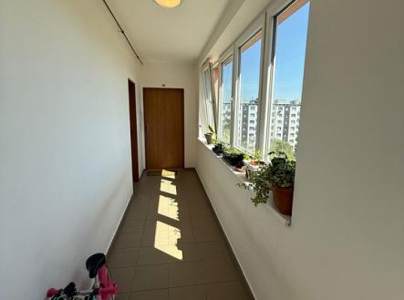 Pronájem bytu, 3+kk, 59 m²