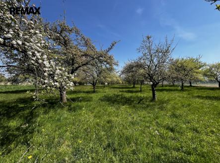 Prodej pozemku, ostatní, 7 559 m²