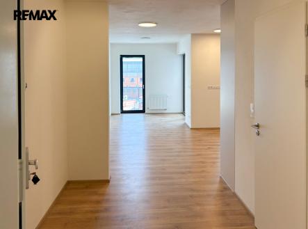 Pronájem bytu, 1+kk, 45 m²