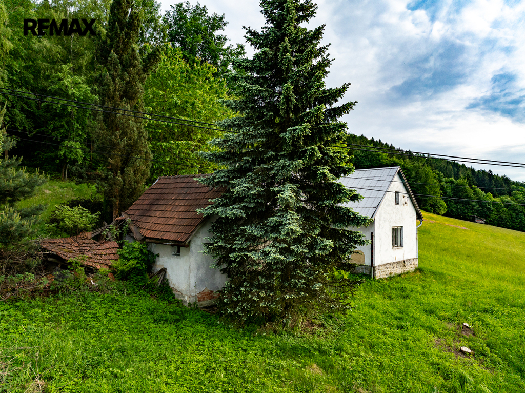 valaska-2.jpg