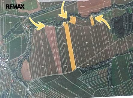 Prodej pozemku, zemědělská půda, 7 286 m²