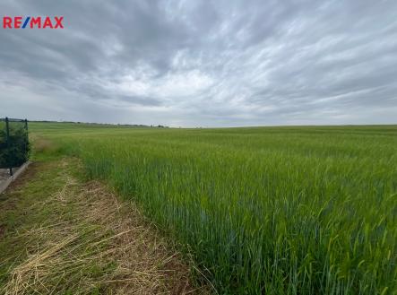 Prodej pozemku, zemědělská půda, 18 159 m²