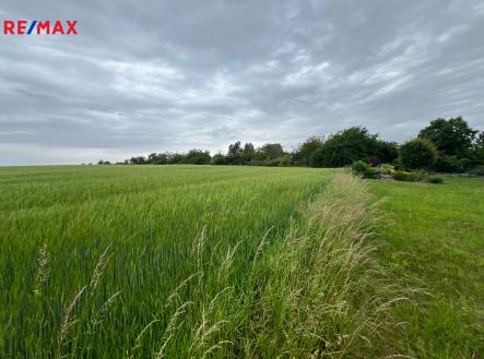 Prodej pozemku, zemědělská půda, 18 159 m²