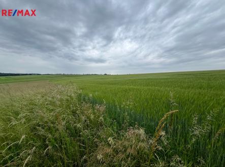 Prodej pozemku, zemědělská půda, 18 159 m²