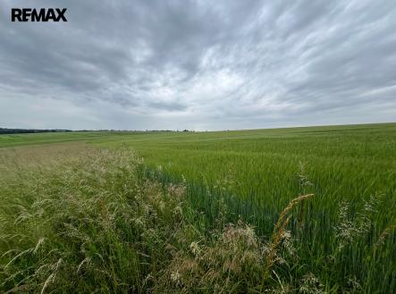Prodej pozemku, zemědělská půda, 18 159 m²