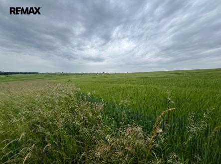 Prodej pozemku, zemědělská půda, 18 159 m²