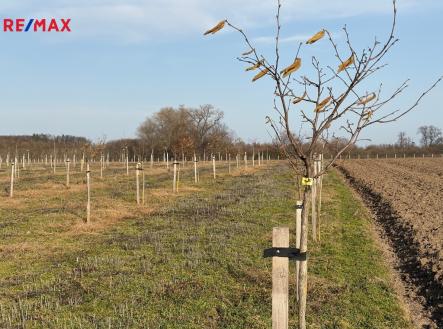 Prodej pozemku, ostatní, 9 979 m²