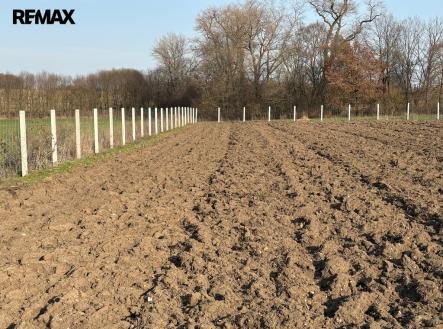 Prodej pozemku, ostatní, 9 979 m²