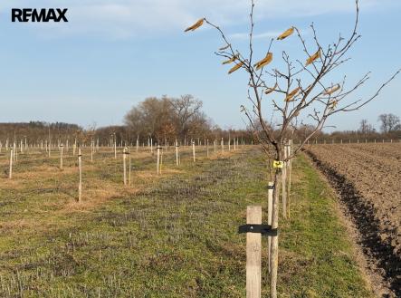 Prodej pozemku, ostatní, 9 979 m²