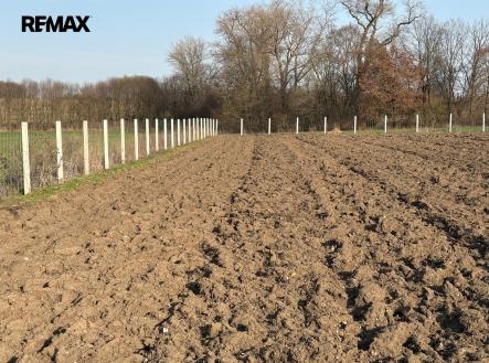 Prodej pozemku, ostatní, 9 979 m²